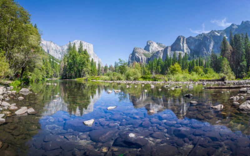 benefits of recycling - protect ecosystems