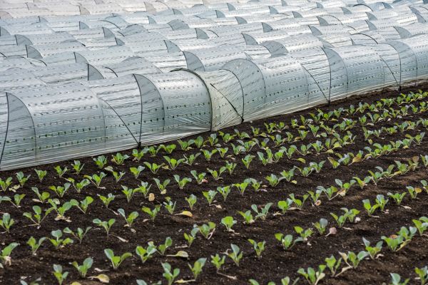 agricultural films made from bioplastics