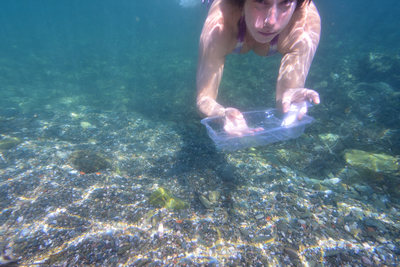 ocean pollution container