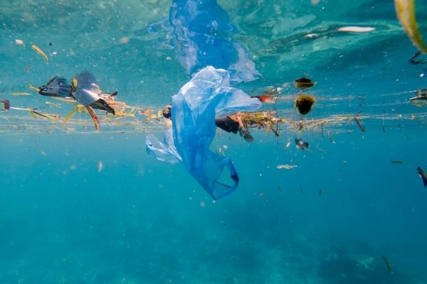 Plastic pollution in the ocean