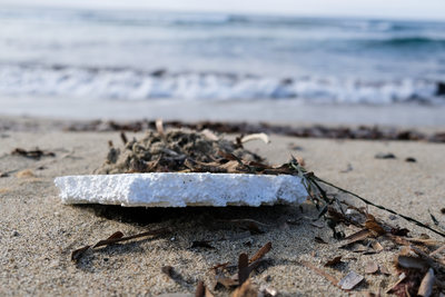 polystyrene on the beach