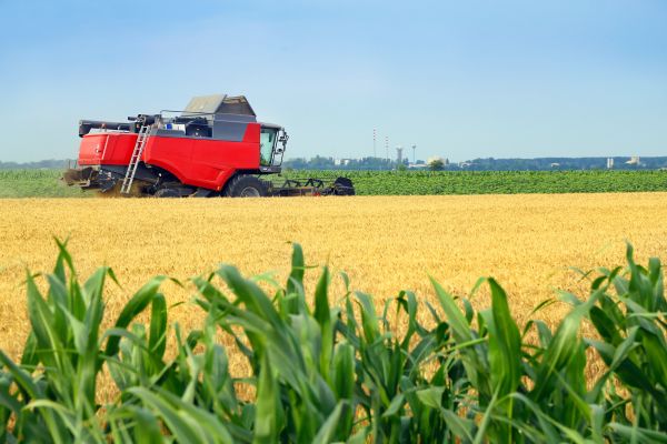 impacts of bio-plastics on food supply